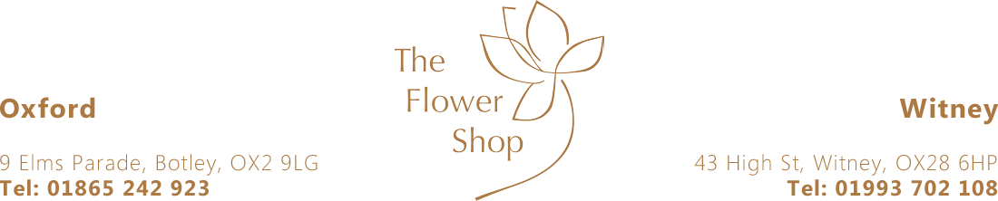The Flower Shop - Logo